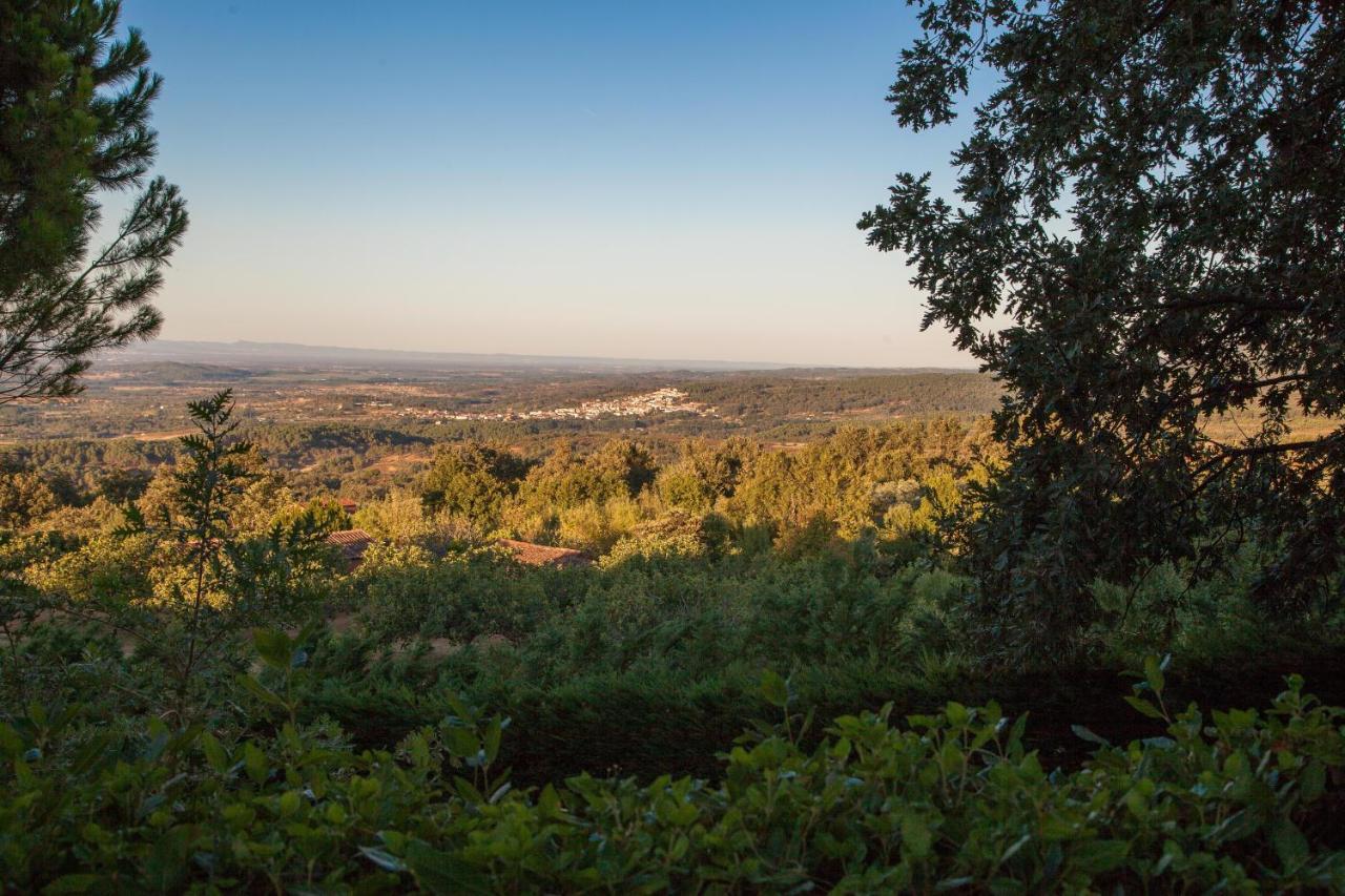 Finca La Sayuela Villa El Raso Bagian luar foto